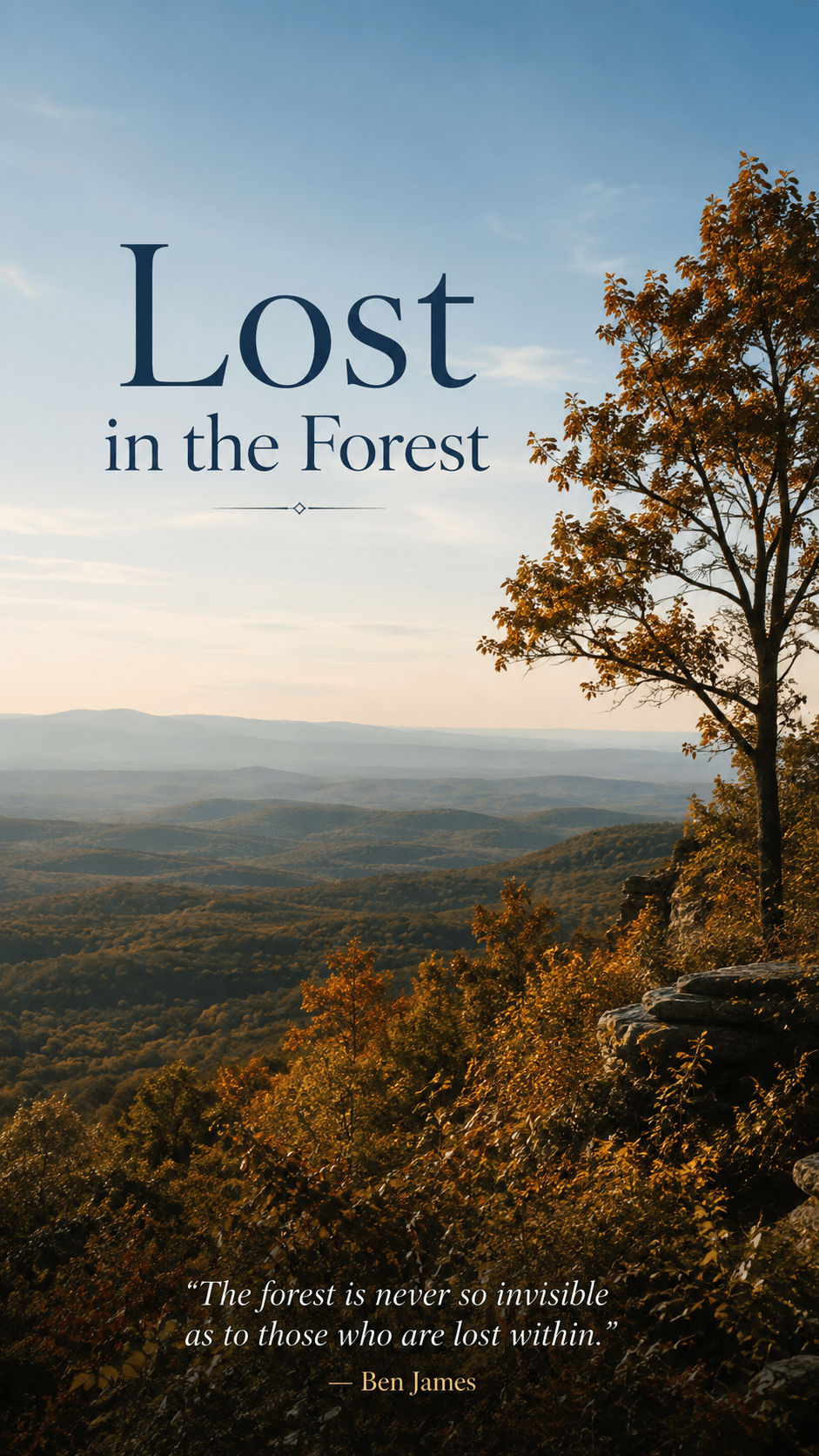 Lost In the&nbsp;Forest